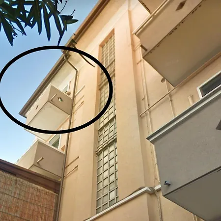 Bellaolly * Местре